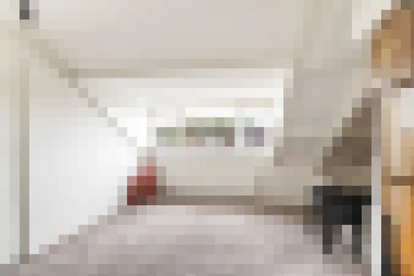 Leo Gestelstraat 1 Woerden thumbnail 46