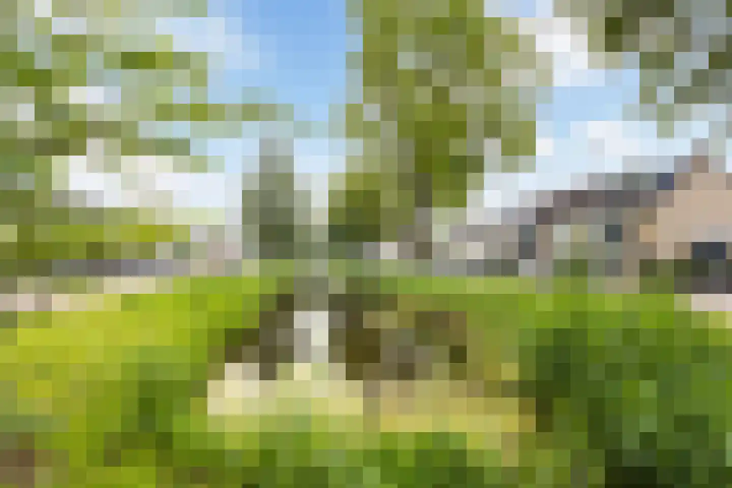 Leo Gestelstraat 1 Woerden thumbnail 49