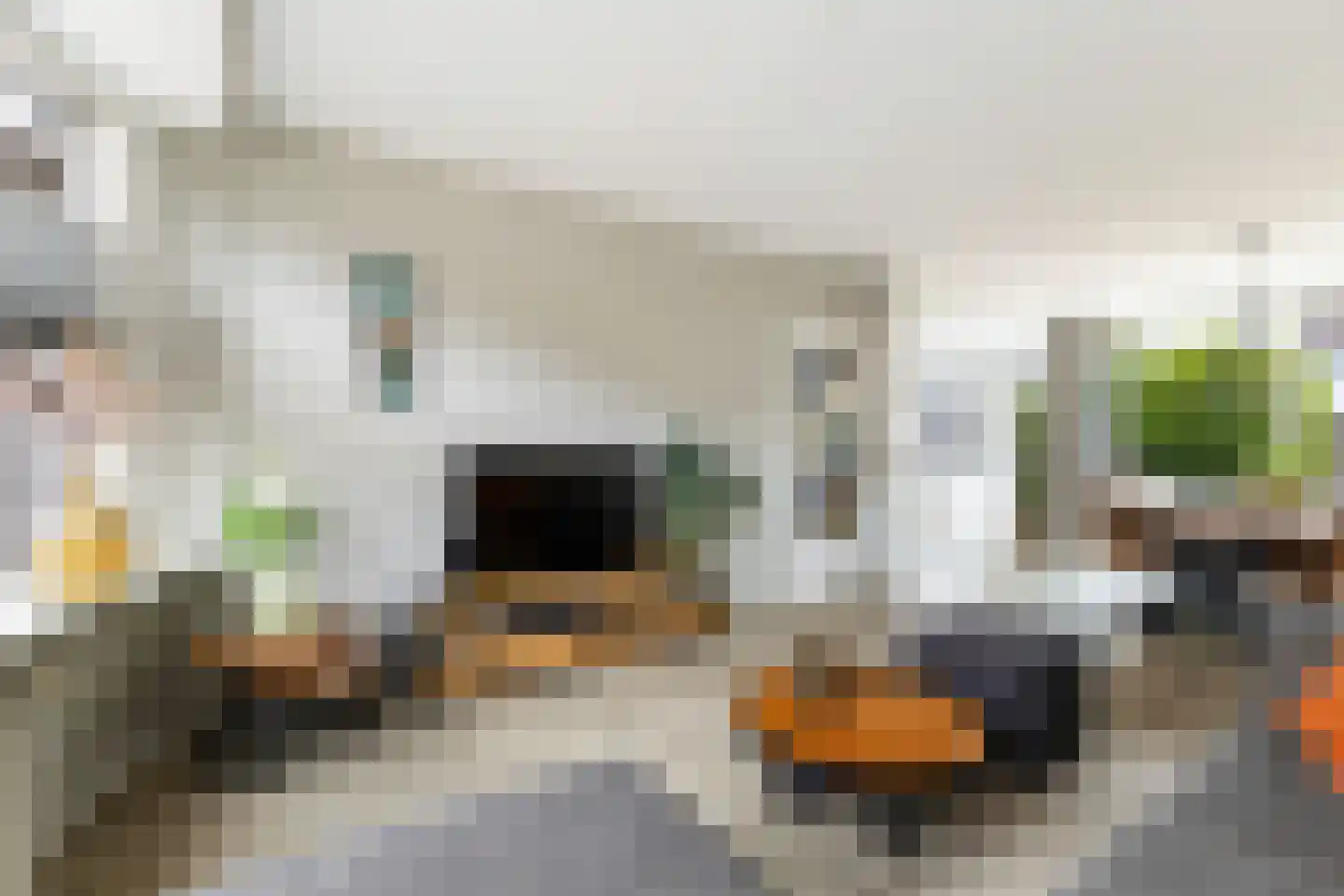 Leo Gestelstraat 1 Woerden thumbnail 8