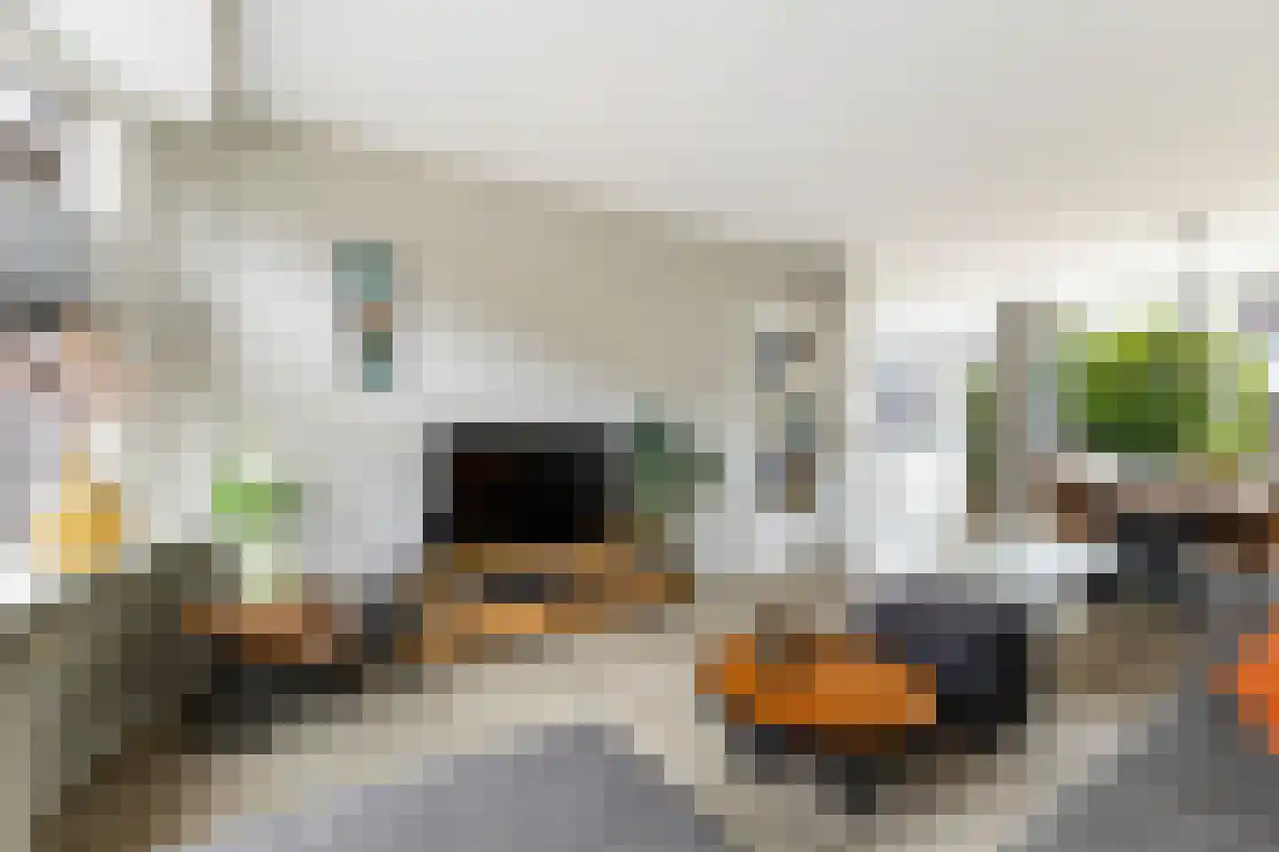 Leo Gestelstraat 1 Woerden thumbnail 9