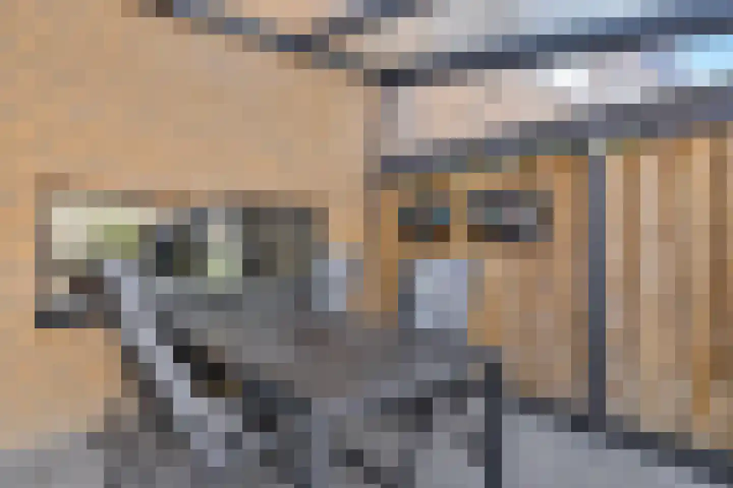 Leo Gestelstraat 15 Almere thumbnail 39