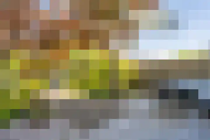 Leo Gestelstraat 79 Almere thumbnail 38