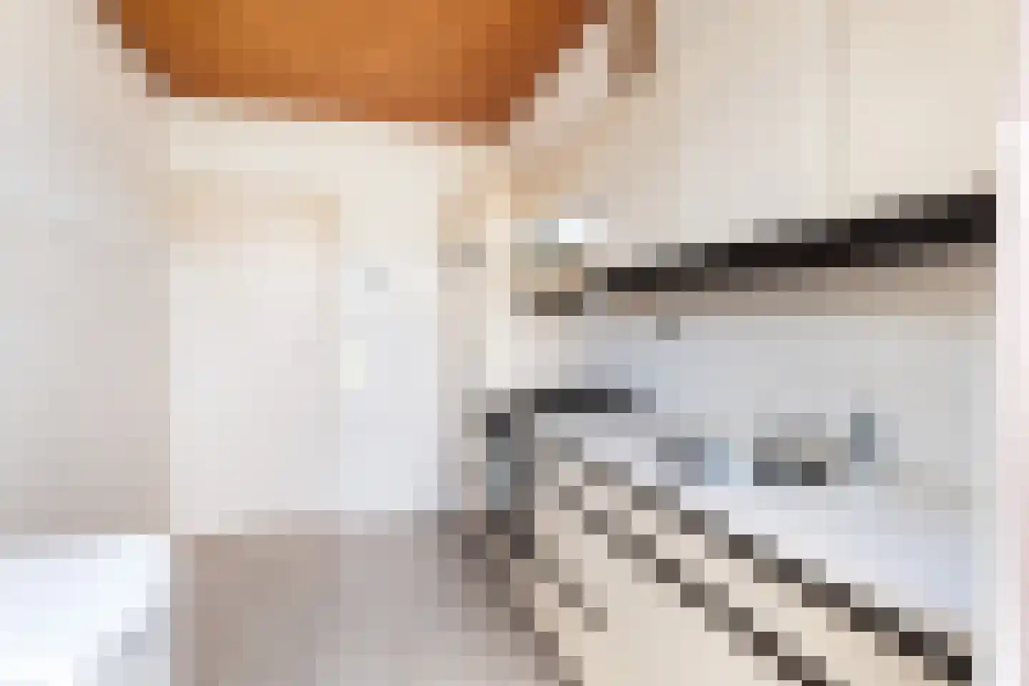 Leo Gestelstraat 8 Woerden thumbnail 11