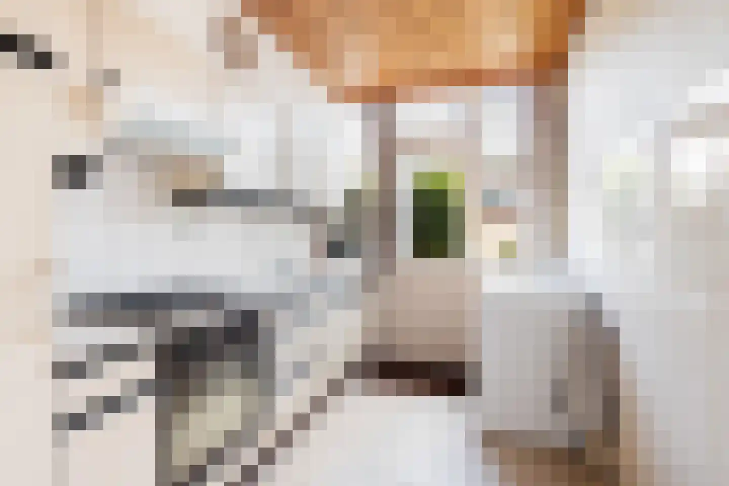 Leo Gestelstraat 8 Woerden thumbnail 12