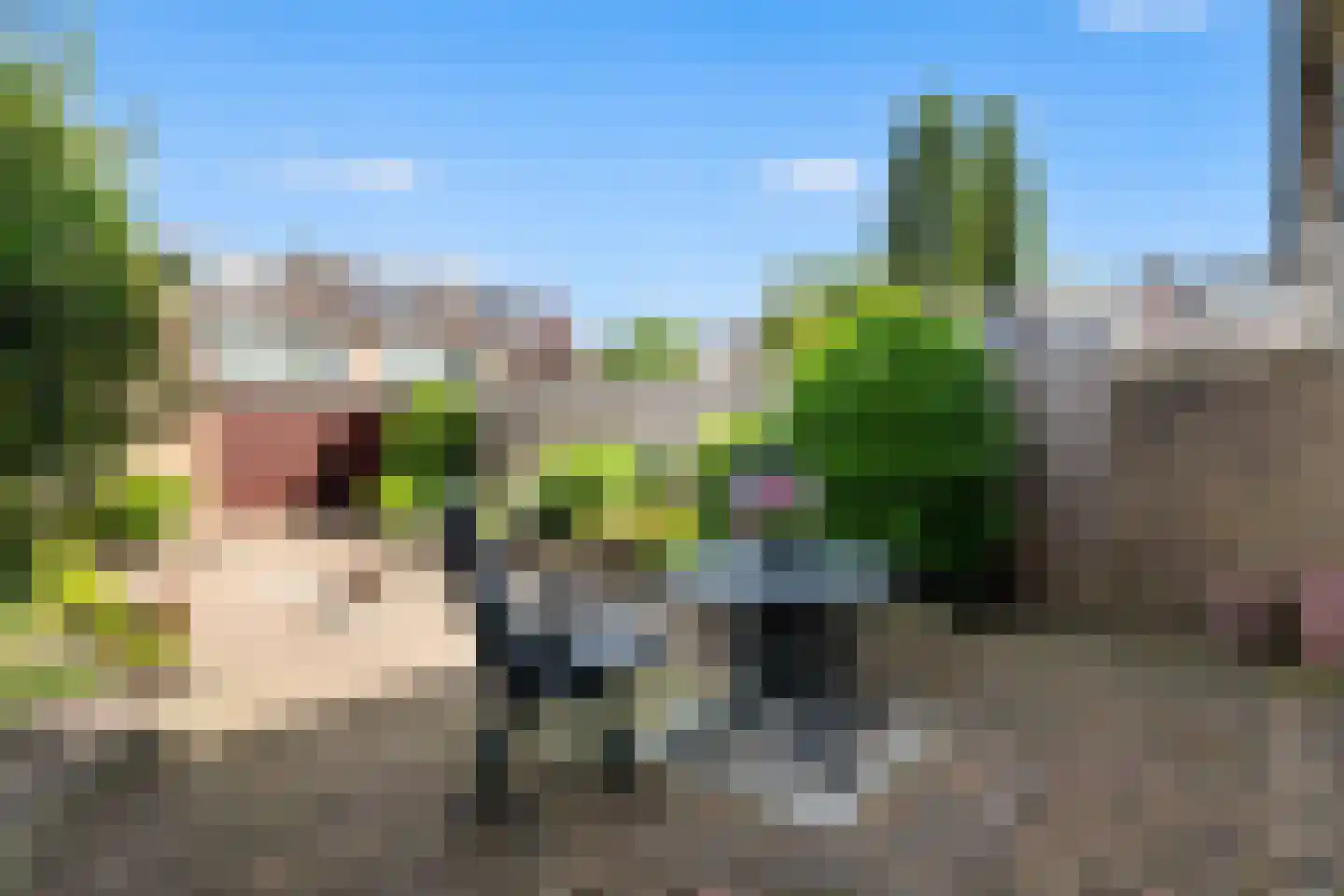 Leo Gestelstraat 8 Woerden thumbnail 13