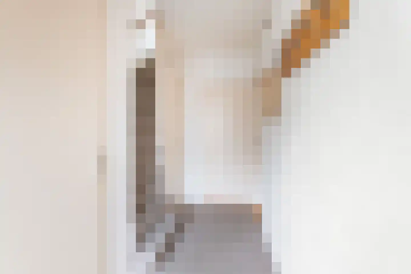 Leo Gestelstraat 8 Woerden thumbnail 4