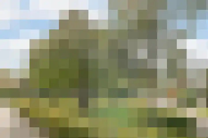 Leo Gestelweg 6 Bergen (NH) thumbnail 31