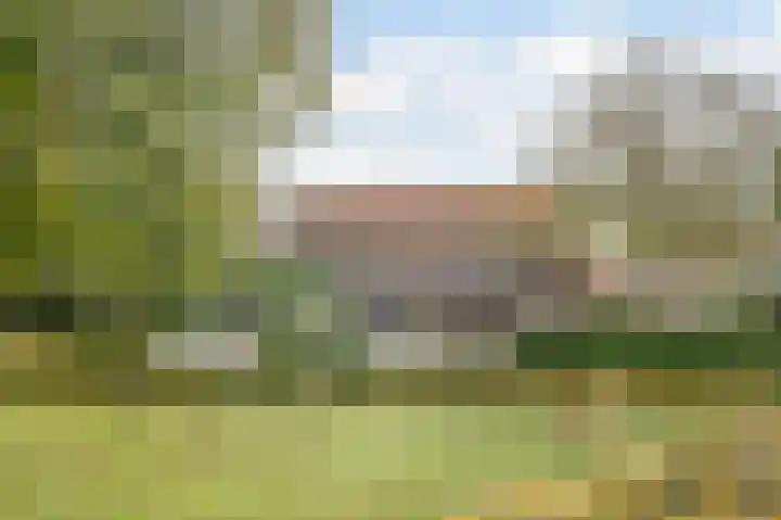 Leo Gestelweg 6 Bergen (NH) thumbnail 33