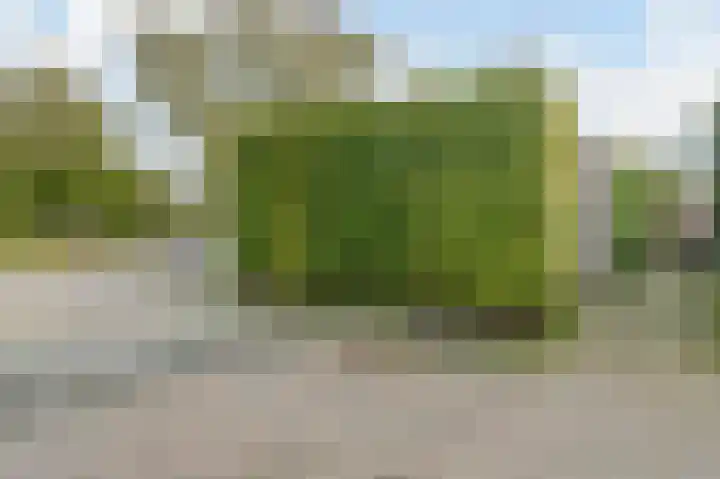 Leo Gestelweg 6 Bergen (NH) thumbnail 36