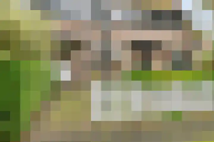 Leo Gestelweg 6 Bergen (NH) thumbnail 5