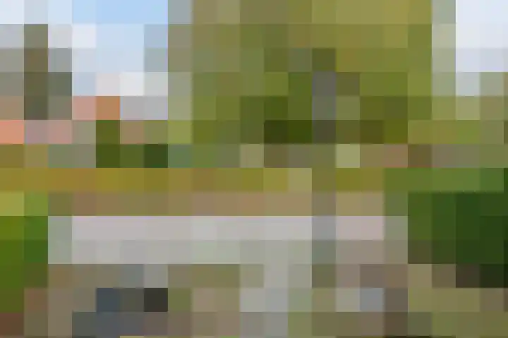 Leo Gestelweg 6 Bergen (NH) thumbnail 6