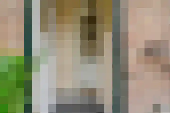 Leo Gestelweg 6 Bergen (NH) thumbnail 7