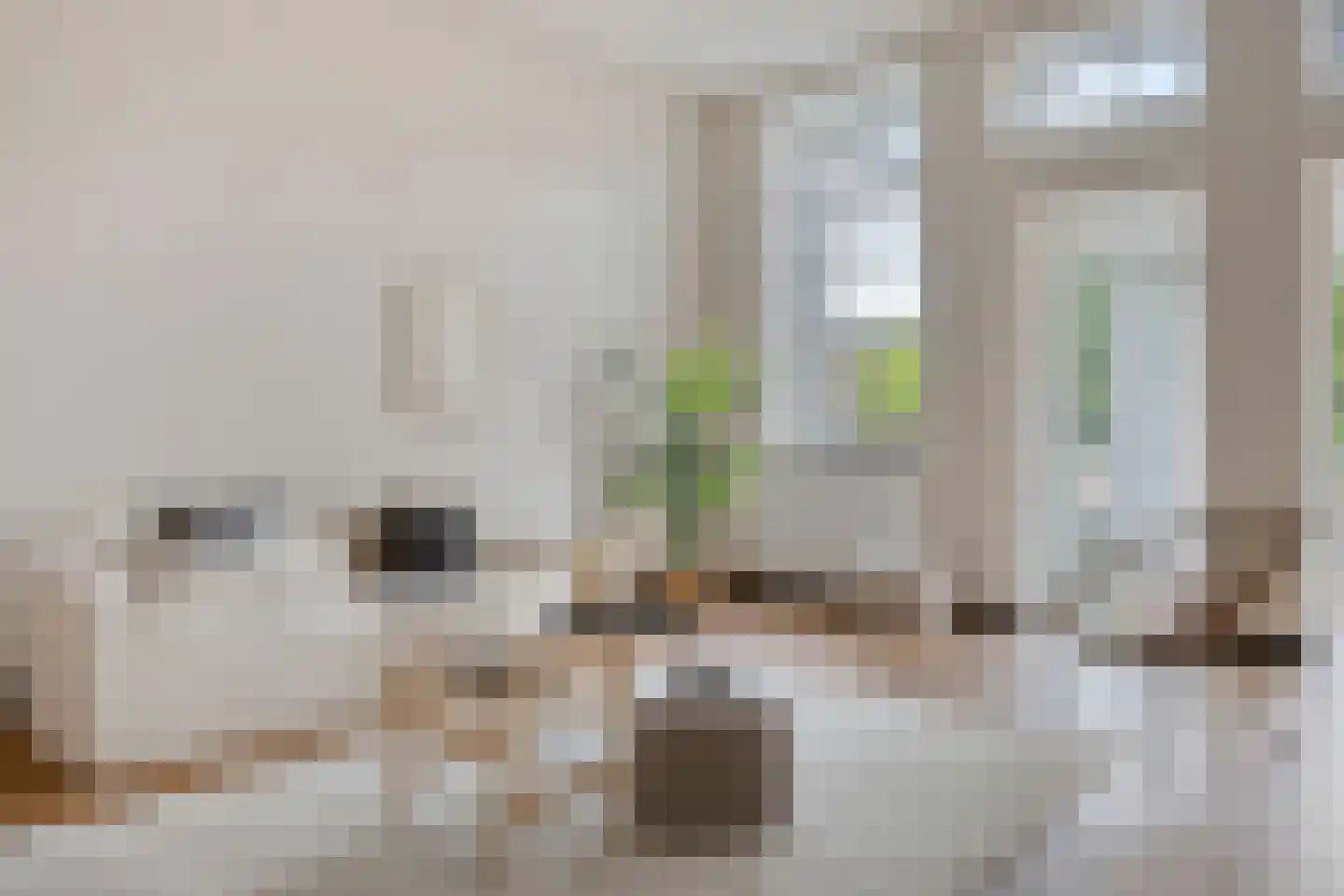 Leo Lashleylaan 40 A Rotterdam thumbnail 14