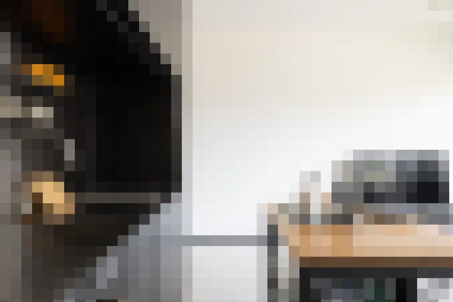 Leo Smitstraat 49 Amsterdam thumbnail 7