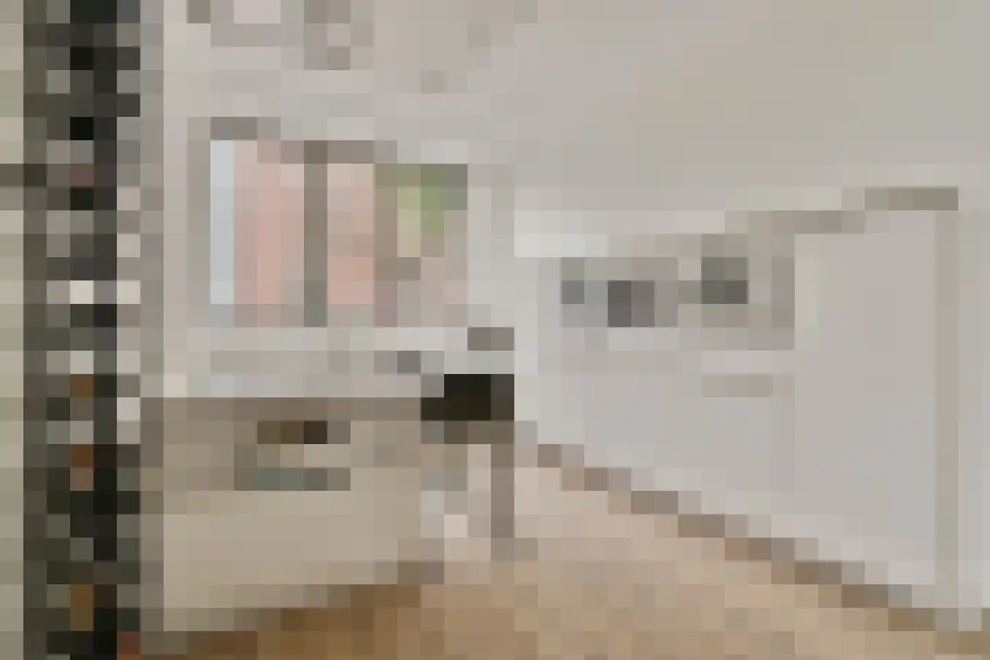 Leo Smitstraat 65 Amsterdam thumbnail 15