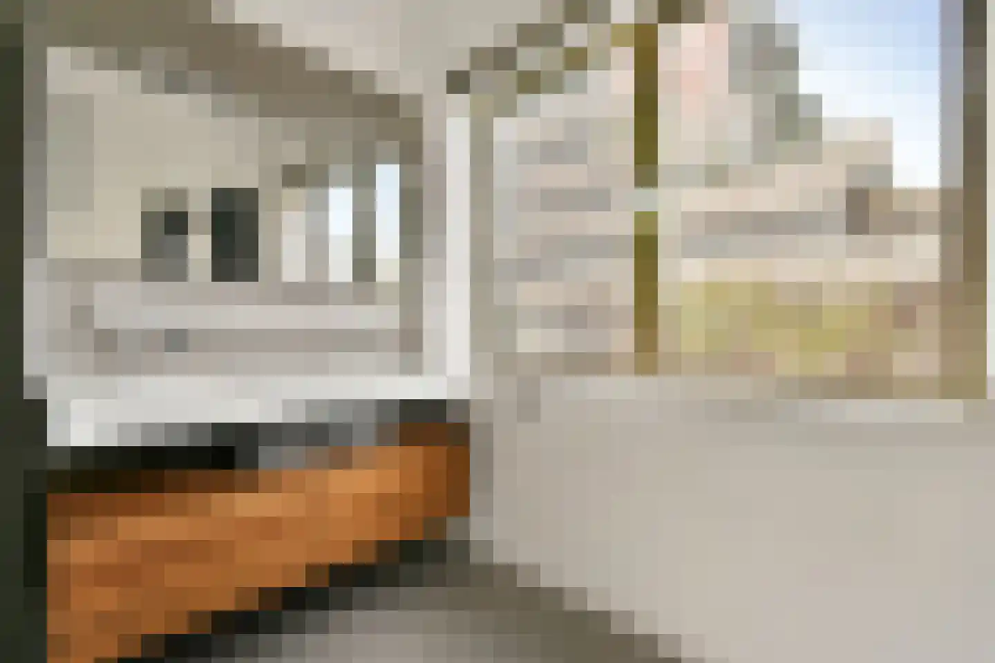 Leo Smitstraat 65 Amsterdam thumbnail 19