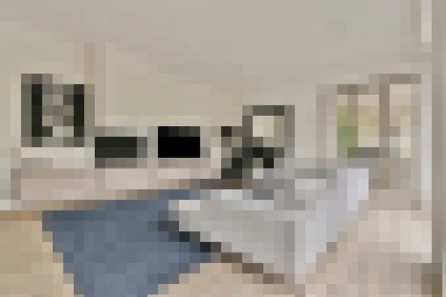 Leo Smitstraat 65 Amsterdam thumbnail 8