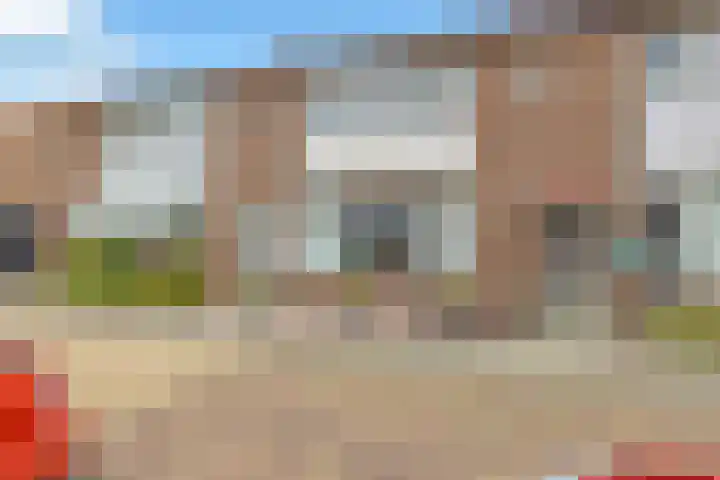Leo Toepoelstraat 23 Castricum thumbnail 4