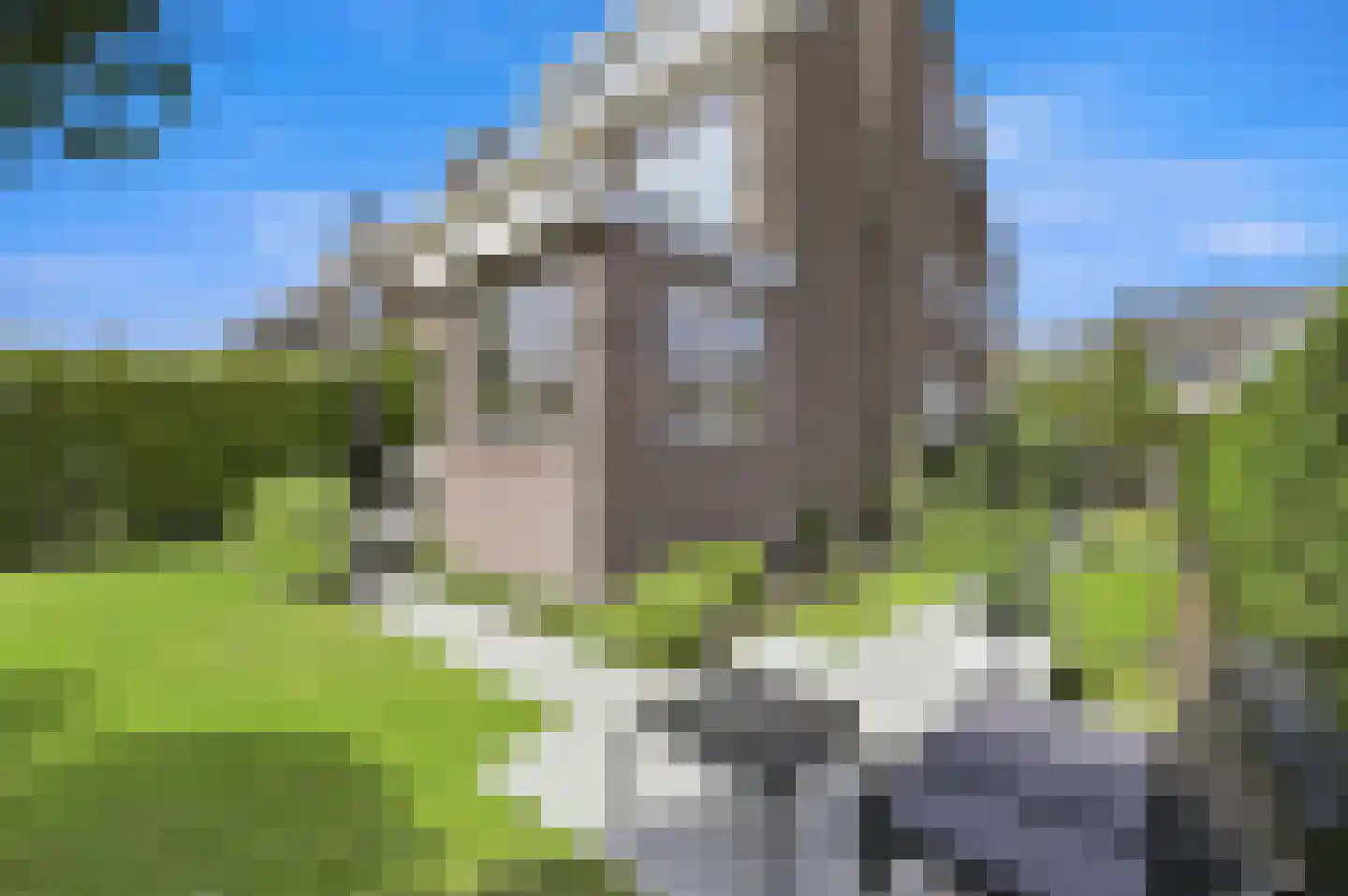 Leo Voogdweg 4 Den Haag thumbnail 31