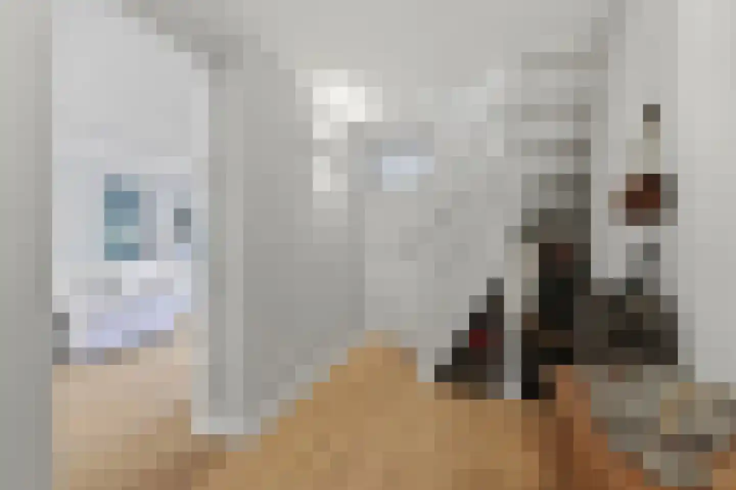 Leo Voogdweg 4 Den Haag thumbnail 35