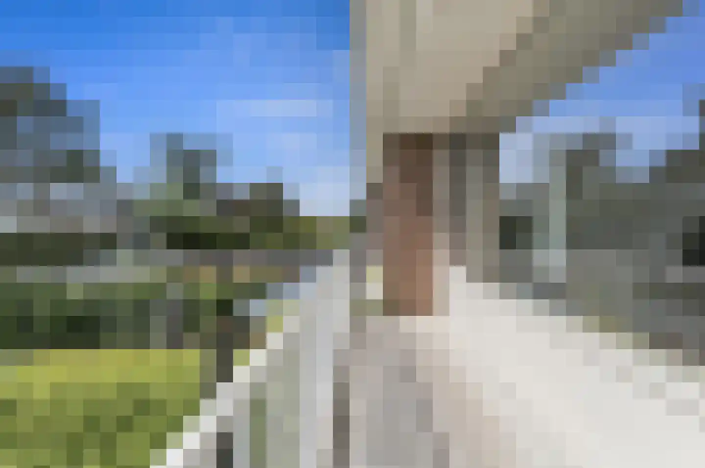 Leo Voogdweg 4 Den Haag thumbnail 44