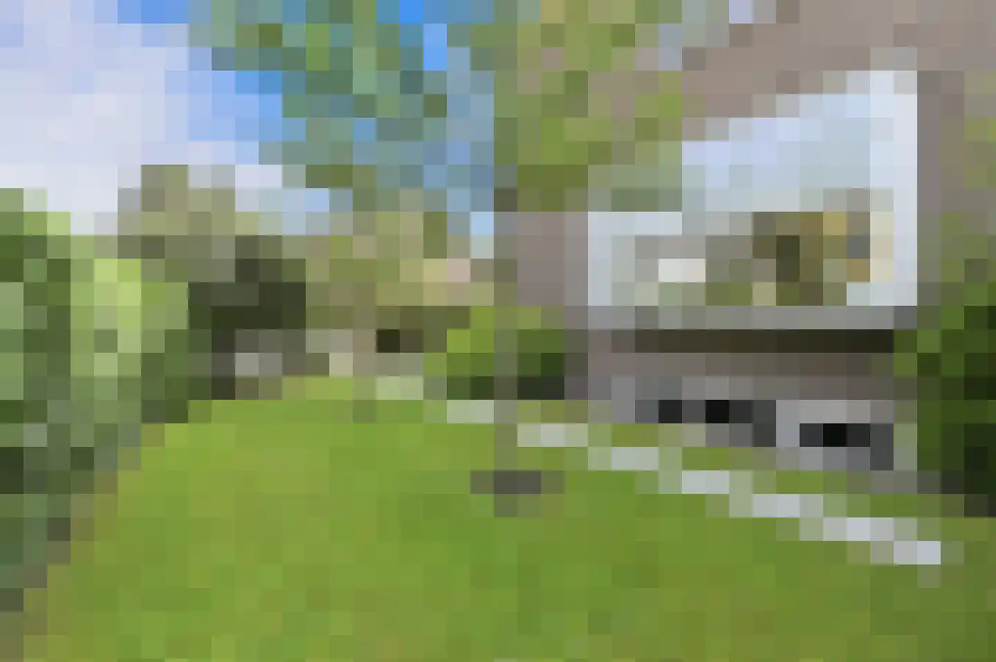 Leo Voogdweg 4 Den Haag thumbnail 5