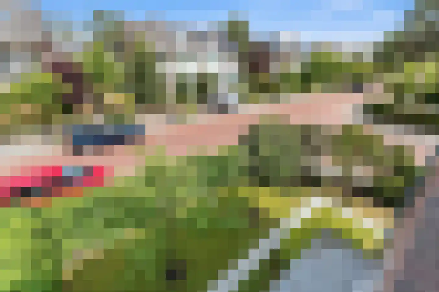 Leo Voogdweg 4 Den Haag thumbnail 59