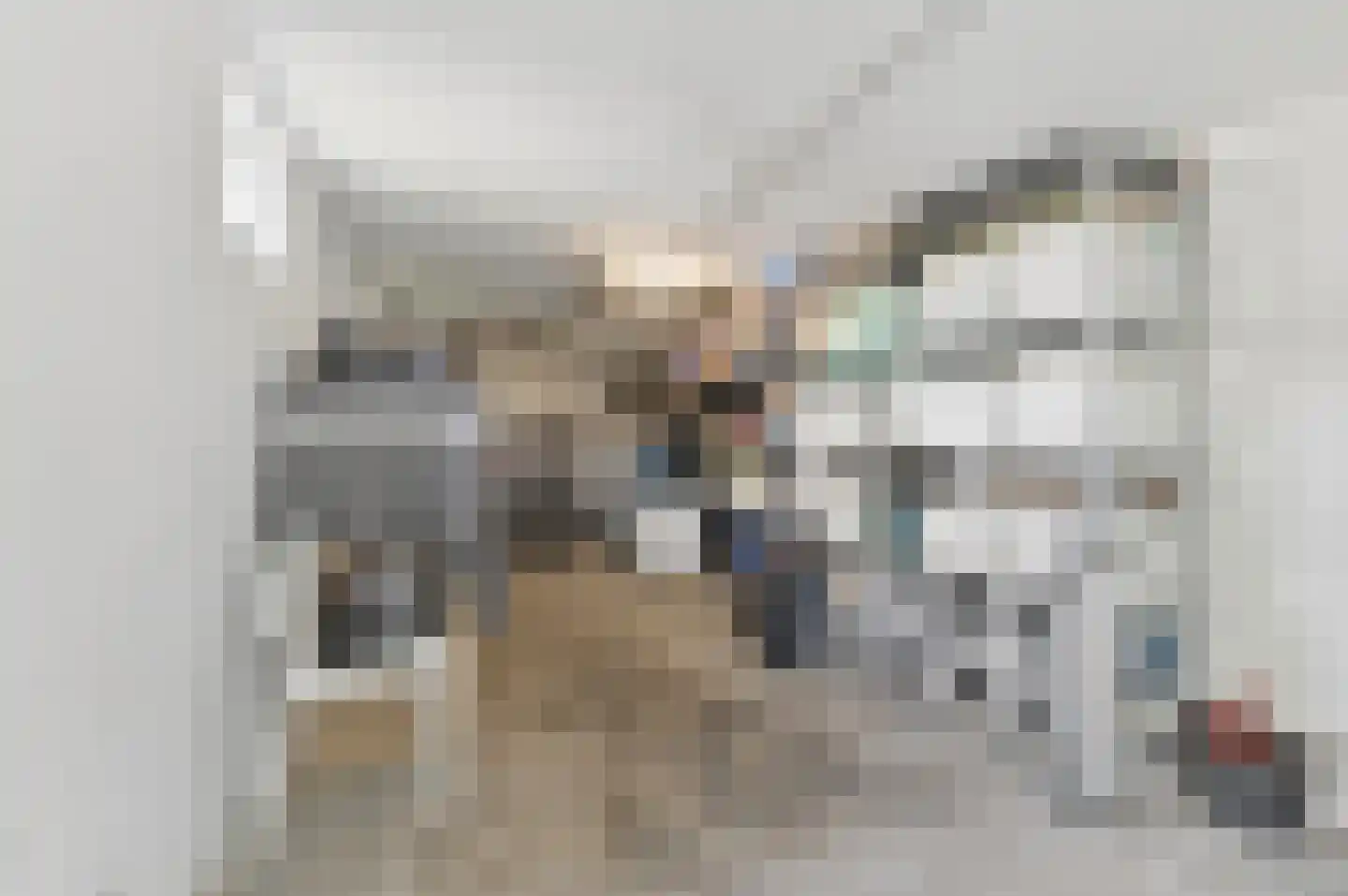 Leo Voogdweg 4 Den Haag thumbnail 72