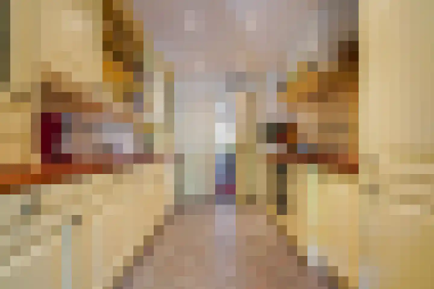 Leo XIII-straat 21 Kaatsheuvel thumbnail 13