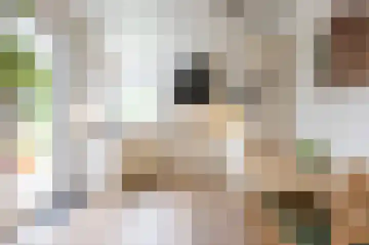 Leon Biessenstraat 24 Heerlen thumbnail 7