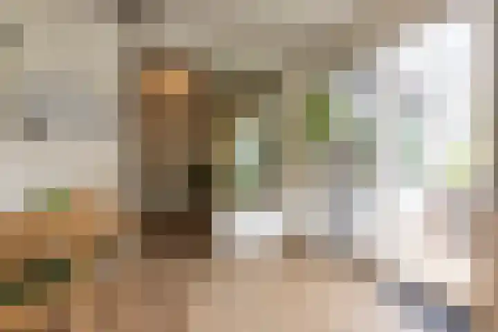Leon Biessenstraat 24 Heerlen thumbnail 8