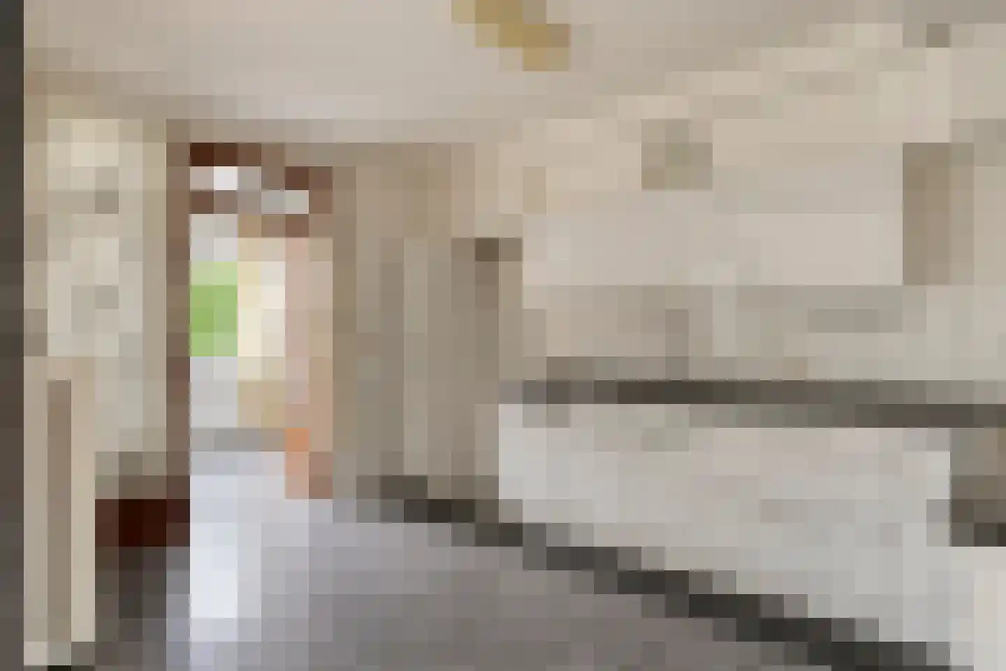 Leon Biessenstraat 32 Heerlen thumbnail 21
