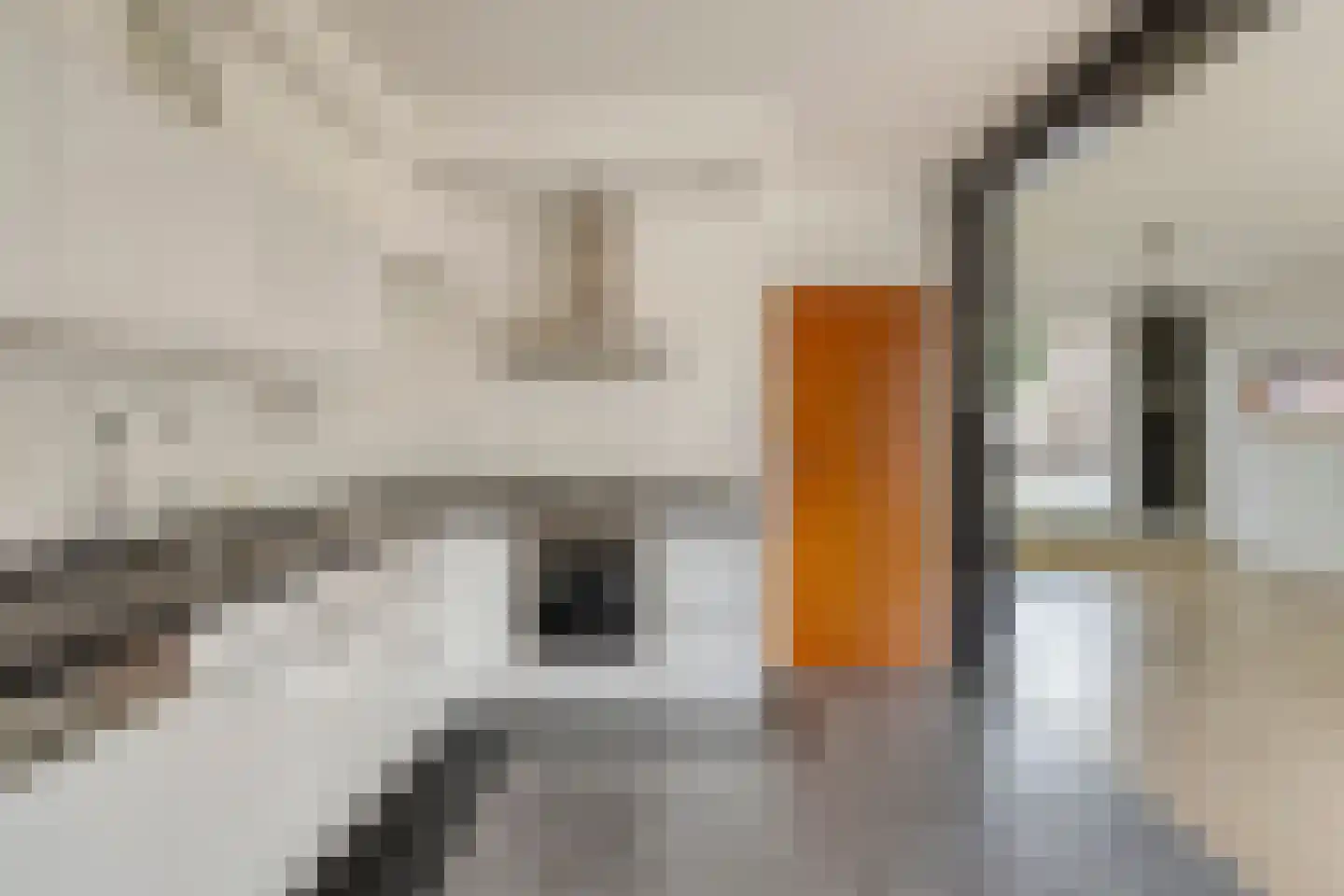 Leon Biessenstraat 32 Heerlen thumbnail 22
