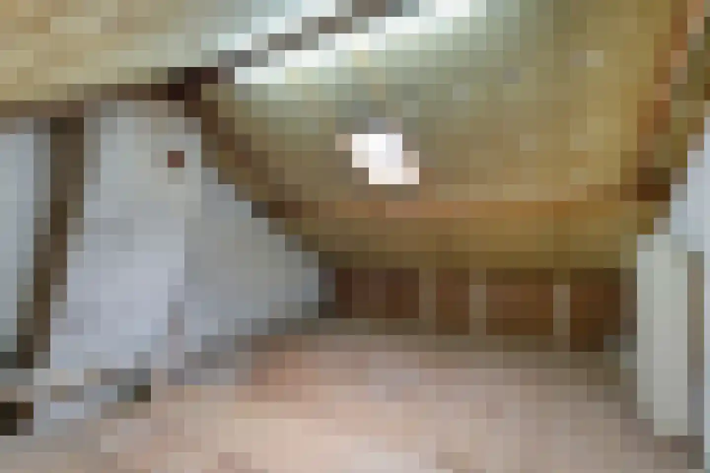 Leon Biessenstraat 32 Heerlen thumbnail 39