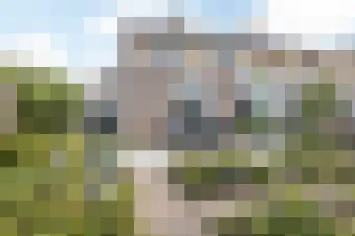 Leon Biessenstraat 7 Heerlen thumbnail 29