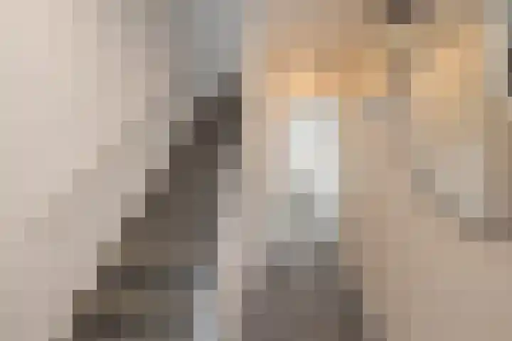 Leon Senfstraat 40 Noordwijk thumbnail 5
