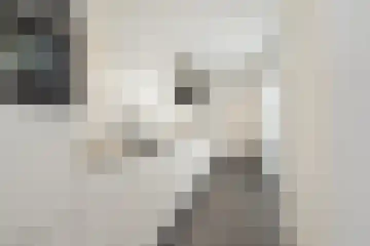 Leon Senfstraat 40 Noordwijk thumbnail 6