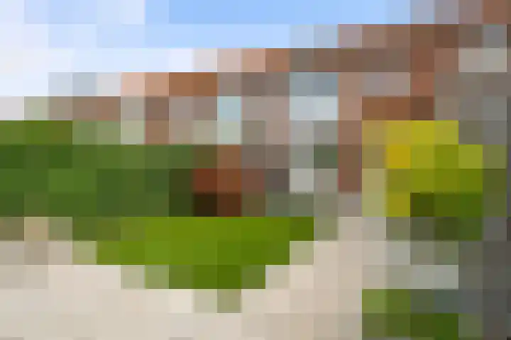 Leon van Heilstraat 30 Breda thumbnail 28