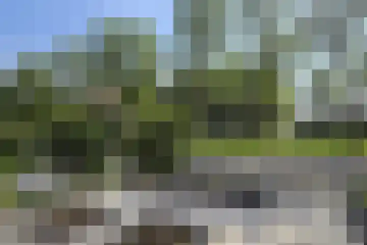 Leon van Heilstraat 30 Breda thumbnail 34