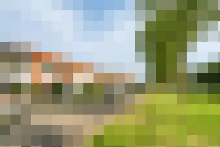 Leon van Heilstraat 30 Breda thumbnail 35
