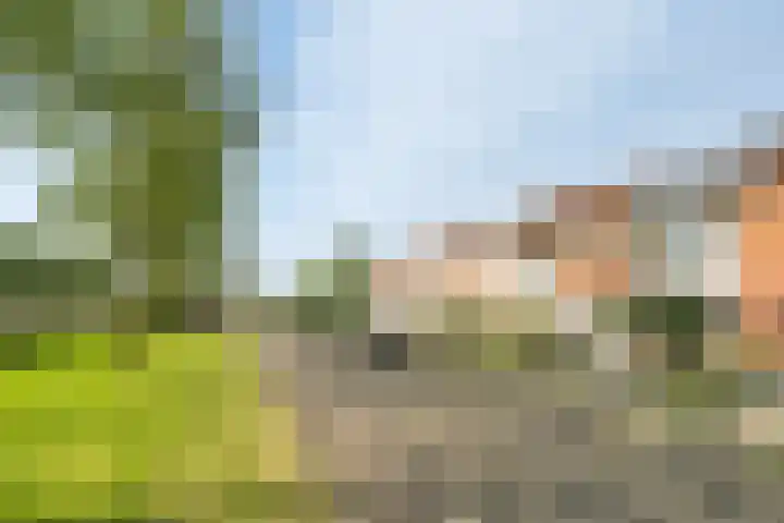 Leon van Heilstraat 30 Breda thumbnail 36