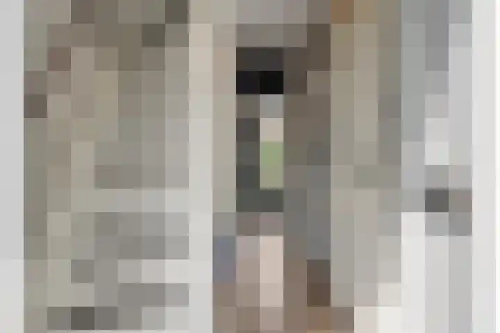 Leon van Heilstraat 30 Breda thumbnail 5