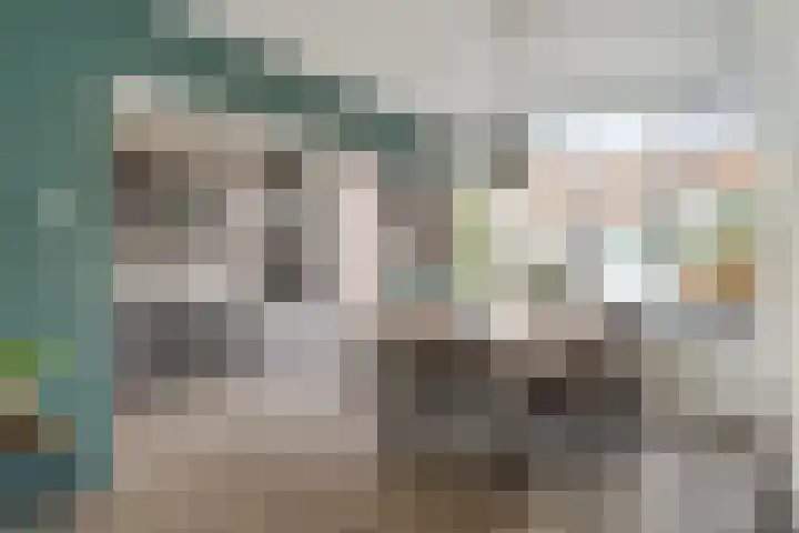 Leon van Heilstraat 30 Breda thumbnail 8