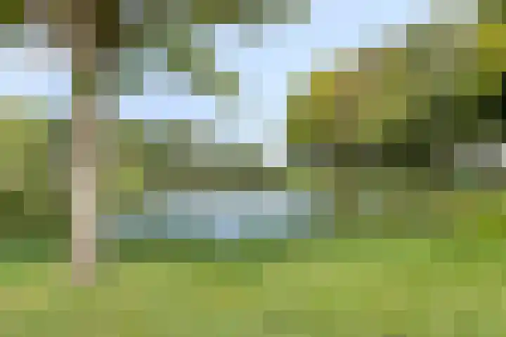Leon van Heilstraat 34 Breda thumbnail 31