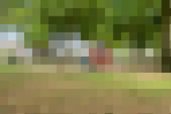 Leon van Heilstraat 34 Breda thumbnail 32