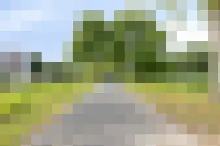 Leon van Heilstraat 34 Breda thumbnail 33