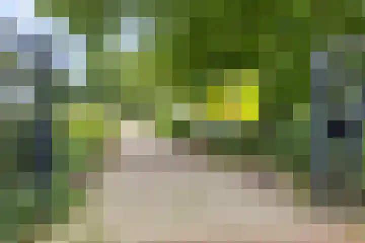 Leon van Heilstraat 34 Breda thumbnail 34