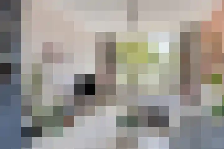Leon van Heilstraat 34 Breda thumbnail 6