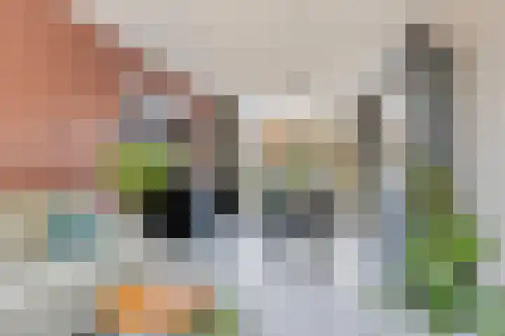 Leon van Heilstraat 34 Breda thumbnail 7