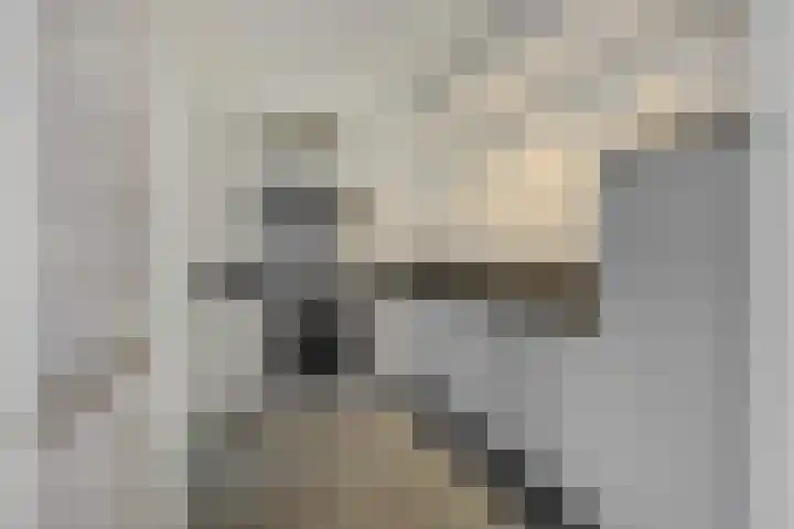 Leon van Kelpenaarstraat 15 Deurne thumbnail 20